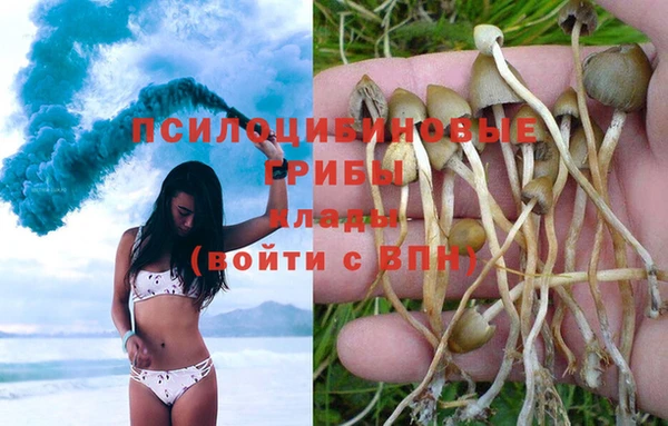 дживик Алексеевка