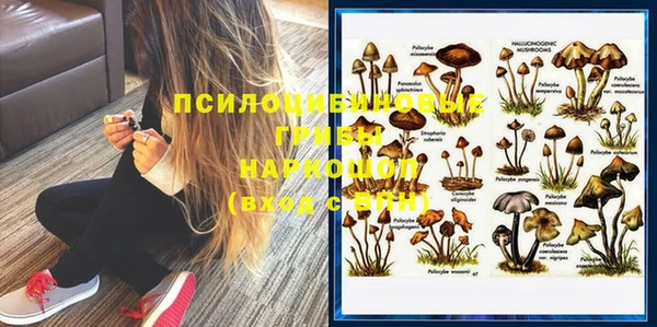 дживик Алексеевка