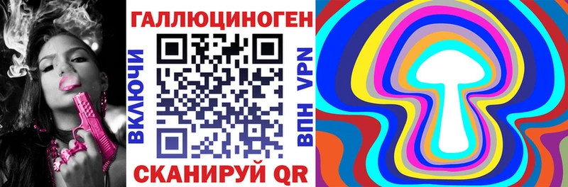 где продают   Опочка  Галлюциногенные грибы Psilocybine cubensis 
