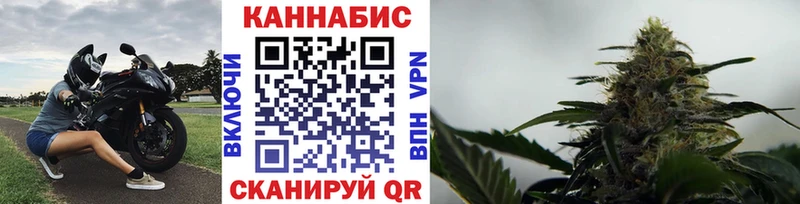 Канабис семена где можно купить Опочка